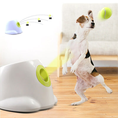 Dog pet Tennis Launcher My Store